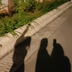 Meet your Posher, Mahi